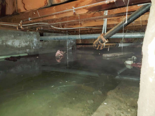 Best Flood restoration services  in Indian Springs, GA