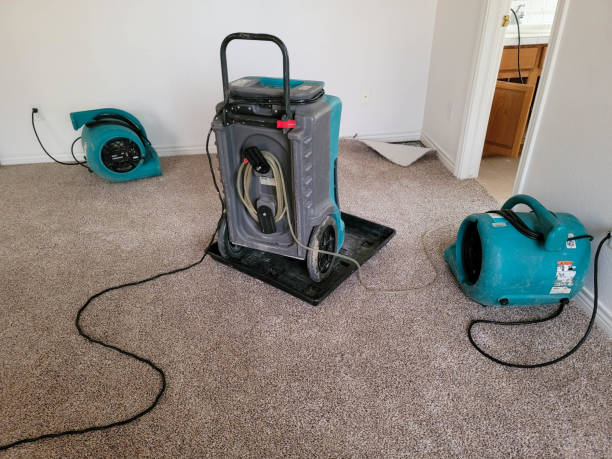 Best Water damage restoration near me  in Indian Springs, GA