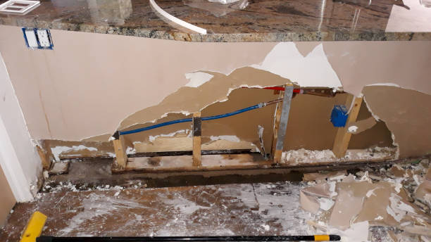 Best Local water damage restoration  in Indian Springs, GA