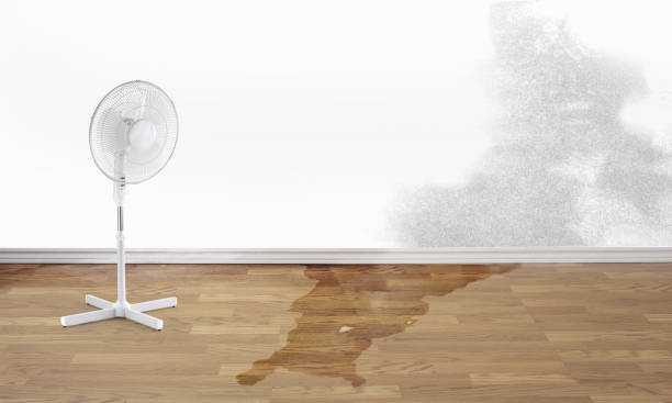 Reliable Indian Springs, GA Water damage restoration Solutions