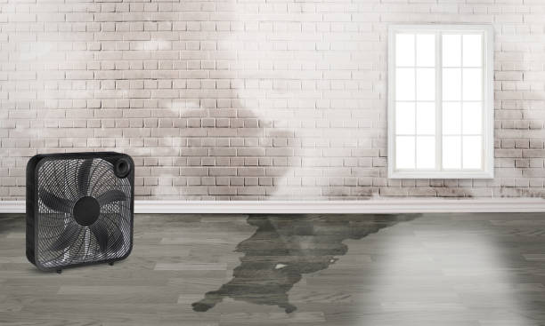 Best Emergency water damage restoration  in Indian Springs, GA