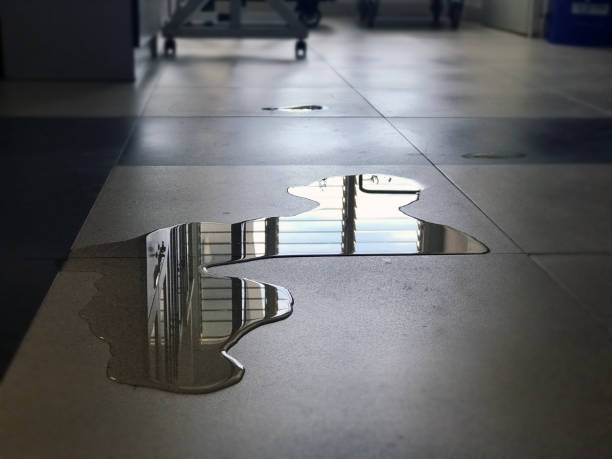 Best Water damage cleanup near me  in Indian Springs, GA