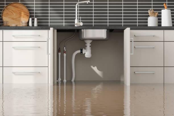 Best Water damage restoration cost  in Indian Springs, GA