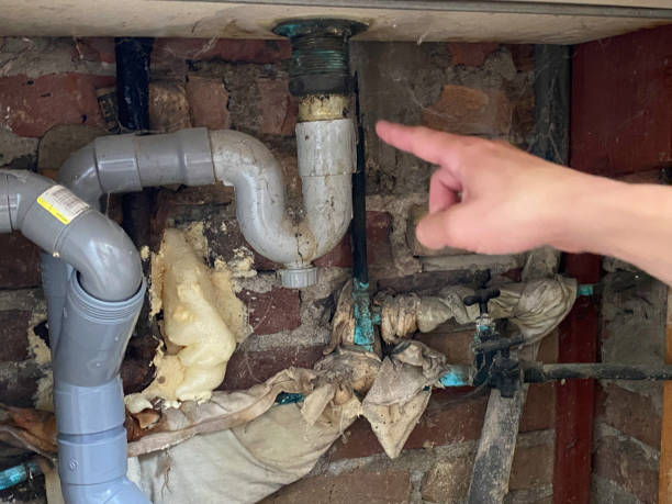 Best Flood damage cleanup  in Indian Springs, GA