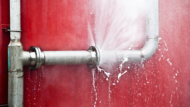 Best Carpet water damage restoration  in Indian Springs, GA